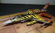 F-16C Turkey Tiger Meet 1:72