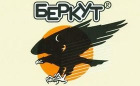 Berkut Logo Berkut Logo