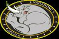 1:48 VAW-123 Screwtops (Vagabond Decals 48-1002) 48-1002